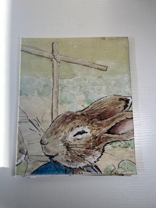 Peter rabbit and Benjamin bunny 1 yard bundle