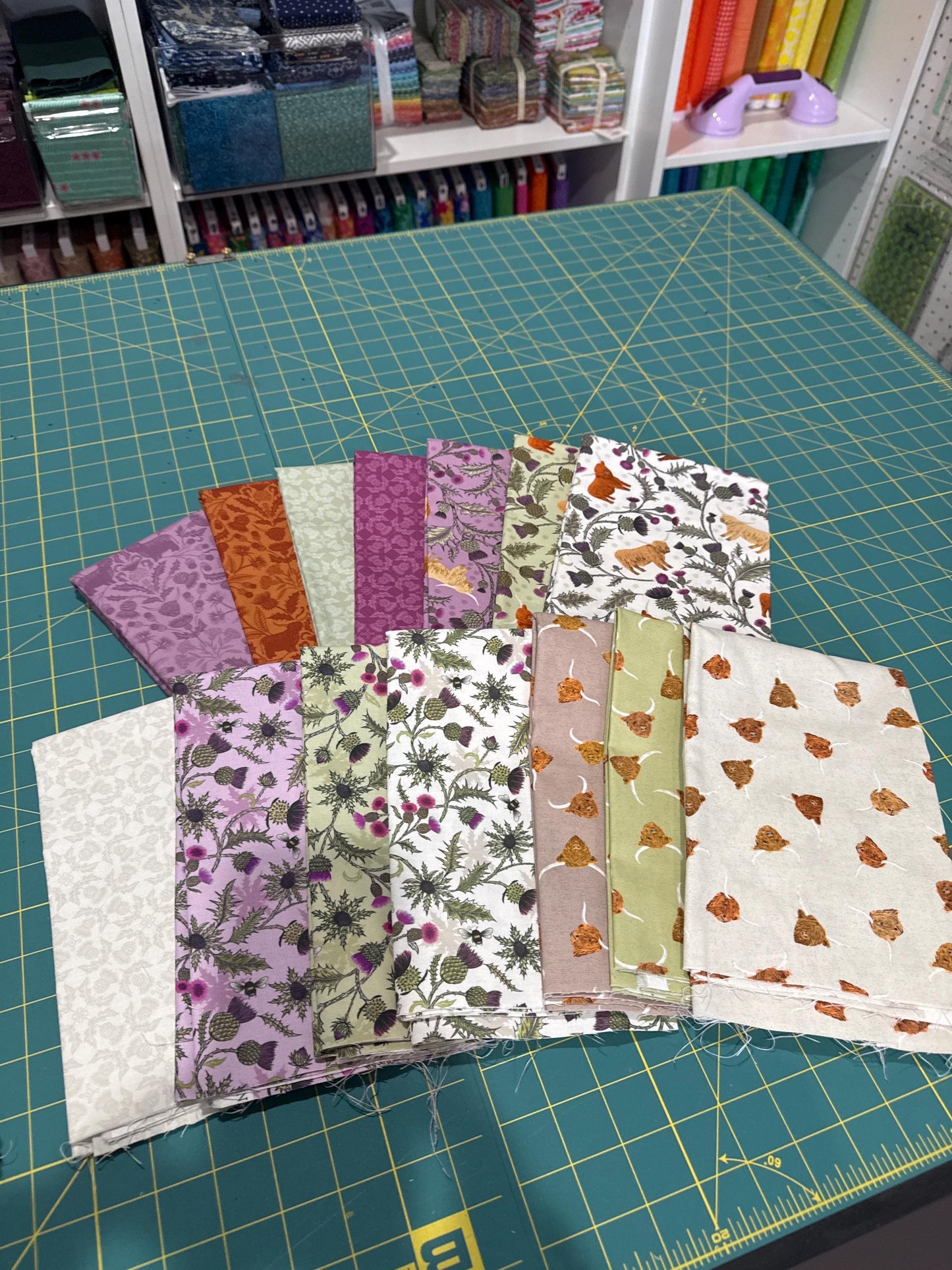 Lewis and Irene highlands Fat quarter bundle