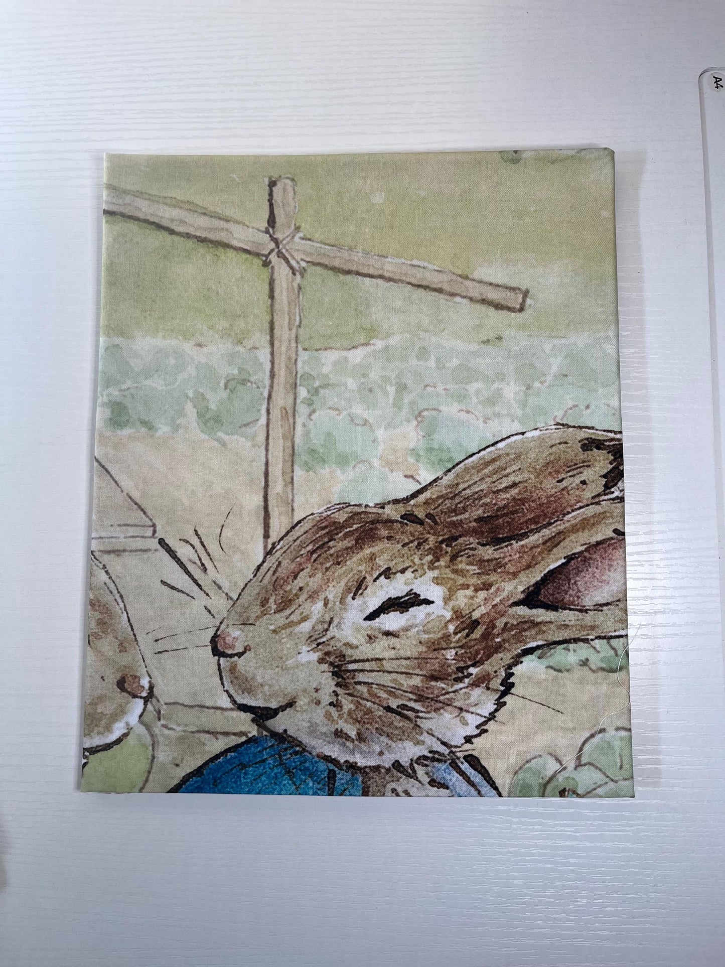 Peter Rabbit Fabric Bundle in Blue  Beatrix Potter Riley Blake Designs, 1 Yard