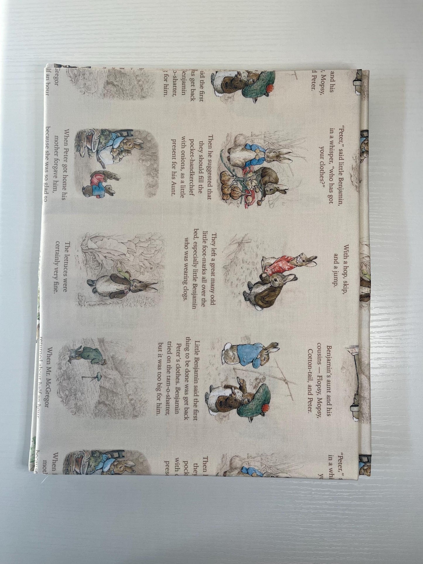 Peter rabbit and Benjamin bunny 1 yard bundle